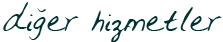 diger hizmetler
